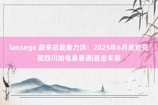 laosege 蔚来总裁秦力洪：2025年6月底前兑现四川加电县县通|直击车展