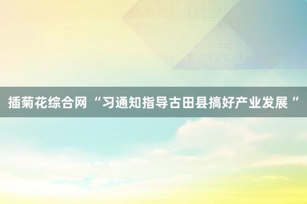 插菊花综合网 “习通知指导古田县搞好产业发展 ”