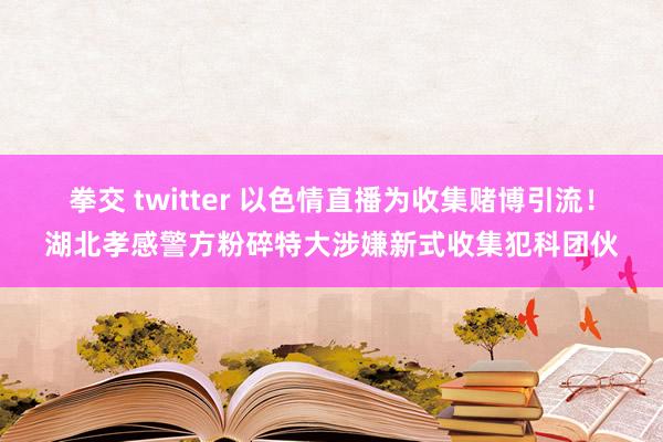 拳交 twitter 以色情直播为收集赌博引流！湖北孝感警方粉碎特大涉嫌新式收集犯科团伙