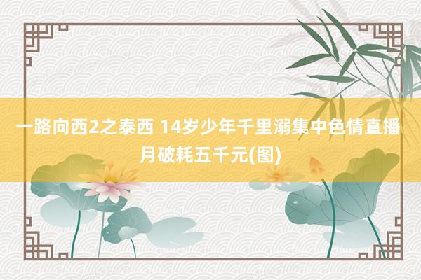 一路向西2之泰西 14岁少年千里溺集中色情直播 月破耗五千元(图)