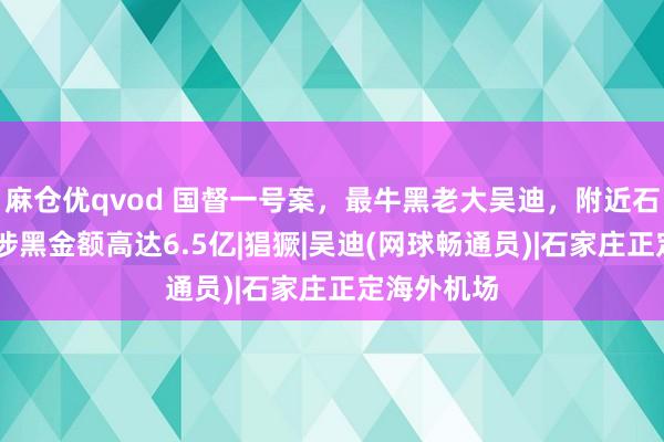 麻仓优qvod 国督一号案，最牛黑老大吴迪，附近石家庄20年涉黑金额高达6.5亿|猖獗|吴迪(网球畅通员)|石家庄正定海外机场